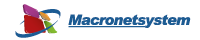 MacroNetSystem.com